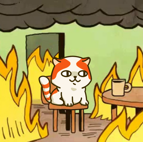 a random image