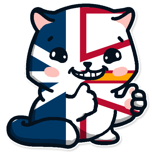 a random image
