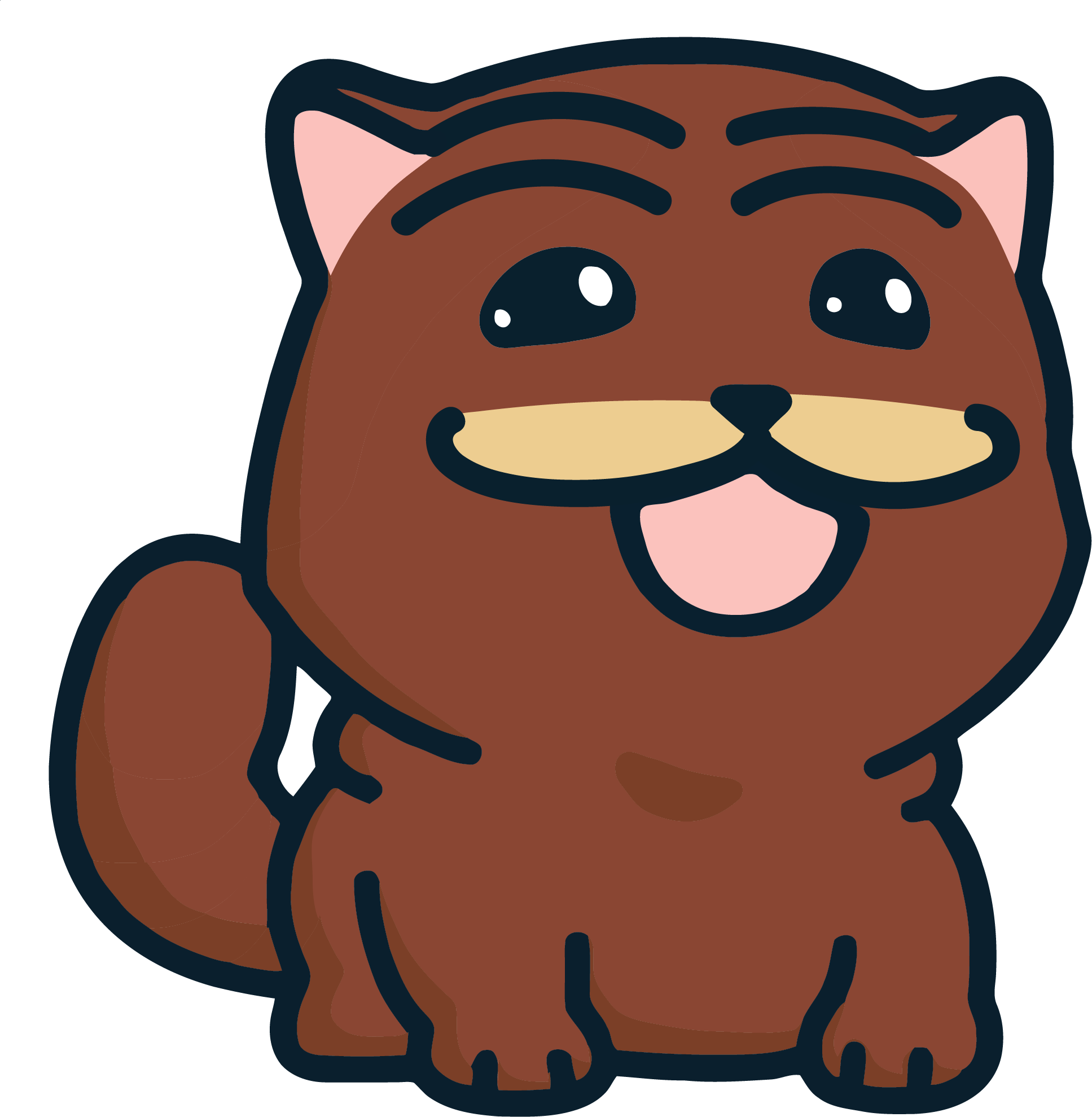 a random image