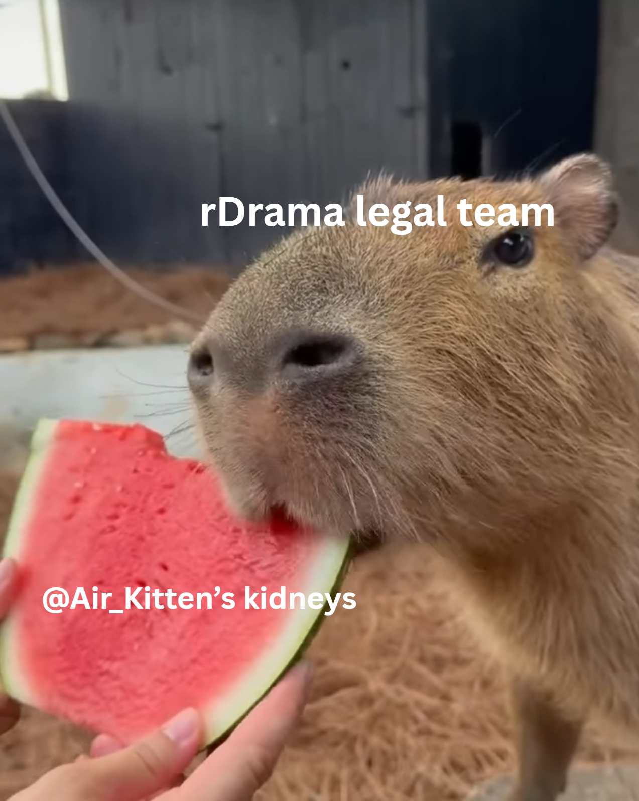 attached image