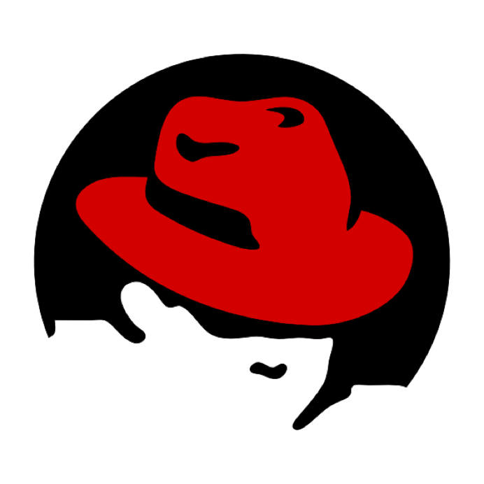 cyberdick
