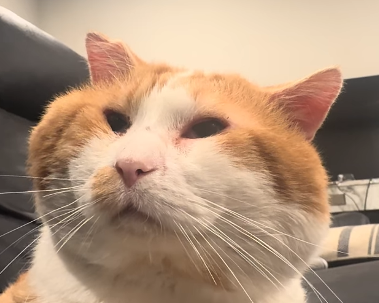 Adam